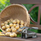 Cortador de patatas »Pomfri-Perfect«