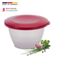 Bowl »Olympia«, 2,5 l, red