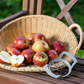 Partidor de manzanas y peras »Divisorex« retro-look